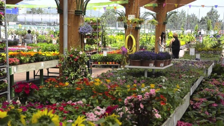 Catálogo Verdecora para jardín 2019 - BlogDecoraciones.com